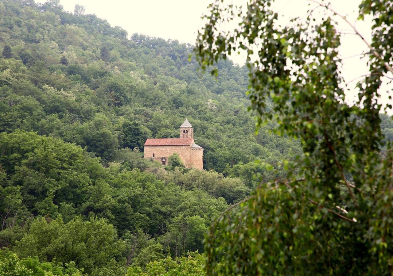 Beau Vallon - Gîte et Chambres d'Hôtes Pyrénées-Méditerranée - Pays Catalan Sahorre Exterior foto