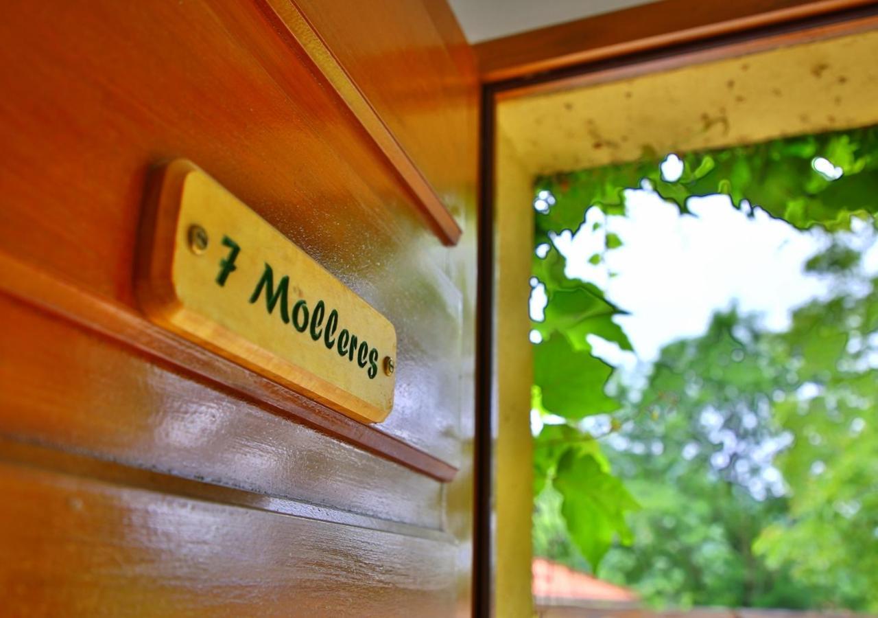 Beau Vallon - Gîte et Chambres d'Hôtes Pyrénées-Méditerranée - Pays Catalan Sahorre Exterior foto